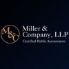 IRS Tax Audit Accountant Long Island Avatar
